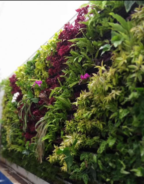Jasa pembuatan taman dan landscape Jasa Vertical Garden