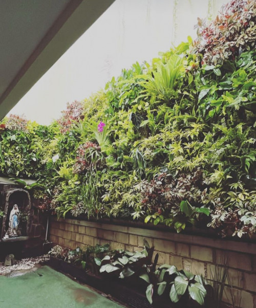 Jasa pembuatan taman dan landscape Jasa Vertical Garden