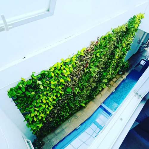 Jasa pembuatan taman dan landscape Jasa Vertical Garden
