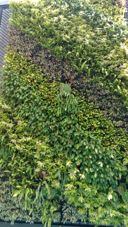 Jasa pembuatan taman dan landscape Jasa Vertical Garden