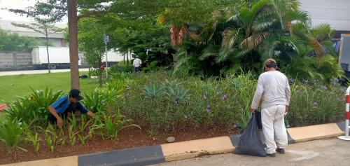 Jasa pembuatan taman dan landscape Perawatan taman 