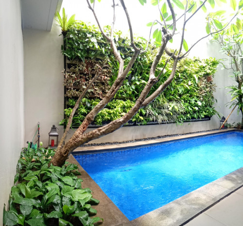 Jasa pembuatan taman dan landscape Vertical Garden 
