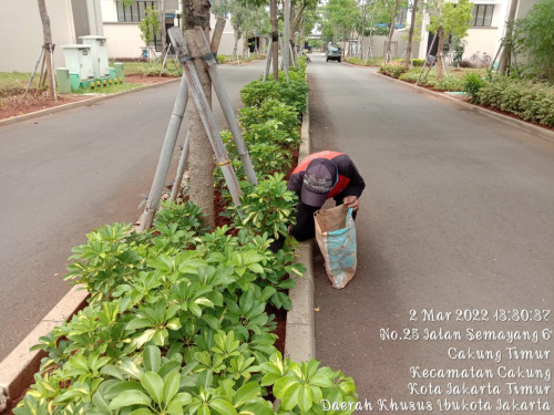 Jasa pembuatan taman dan landscape Pekerjaan kebersihan dan perawatan taman perumahan 