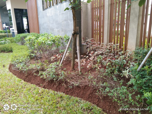 Jasa pembuatan taman dan landscape Pekerjaan pembuatan Taman Cluster Perumahan